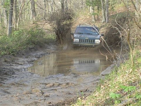 1982 Ford Bronco photo
