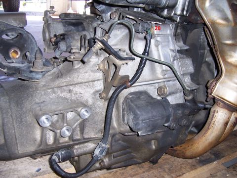 1996 Ford Bronco - 20 - Back Up Lights