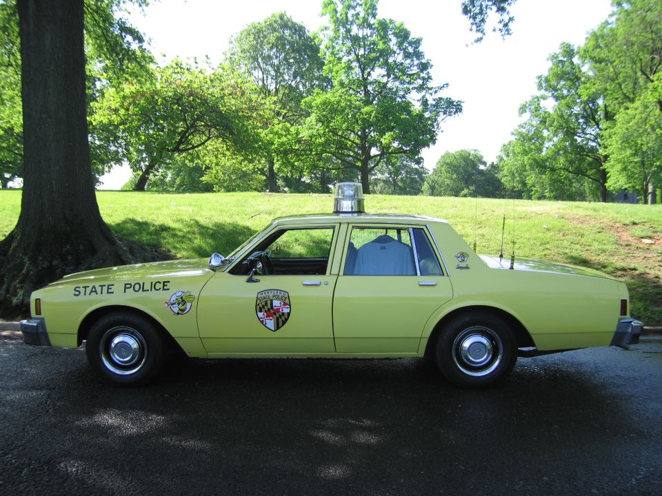 Yellow State Police sedan in profile parked under a tree in a park