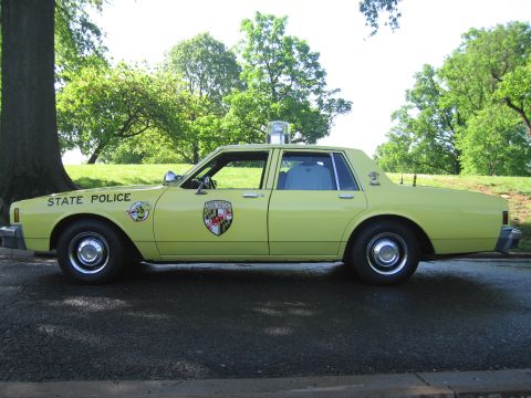 1991 Ford LTD Crown Victoria - Side profile of a pale yellow State Police sedan with round door shield and roof beacon parked on wet pavement in a leafy park.