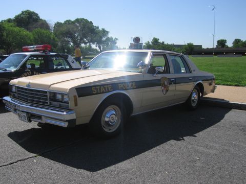1991 Ford LTD Crown Victoria - tan State Police sedan with a brown body stripe and red roof light bar parked on pavement near trees.