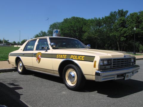 1991 Ford LTD Crown Victoria - tan State Police sedan bearing a colorful shield emblem and brown stripe, with a red roof beacon, under a blue sky.