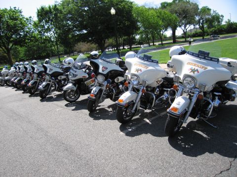 1991 Ford LTD Crown Victoria - row of white police motorcycles, several with Sheriff star emblems on their fairings, parked angled on a paved lot.