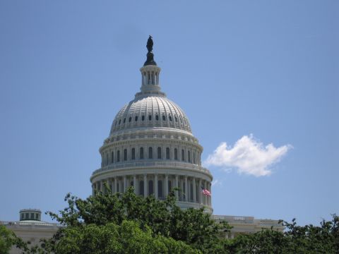 1991 Ford LTD Crown Victoria - white U.S. Capitol dome topped by the Statue of Freedom rises above green treetops under a partly cloudy blue sky.