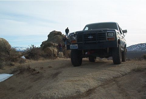 1986 Ford Bronco - Posing