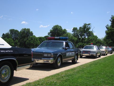 1991 Ford LTD Crown Victoria - row of vintage police cars, led by a dark blue sedan with light bar, parked along a tree-lined path.