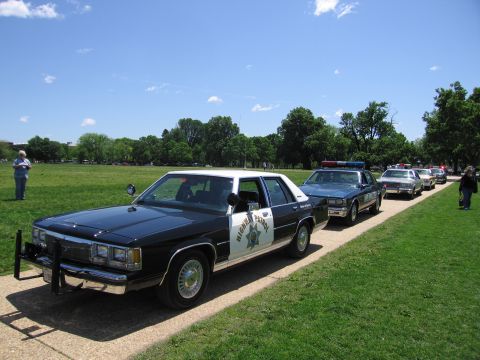 1991 Ford LTD Crown Victoria - line of black-and-white Highway Patrol police cars parked along a grassy path under a blue sky.