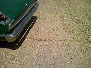 1965 Ford Ranchero - the trail..while waiting for my wife to come get me i pushed the car a few more feet to a more level area and then removed the radiator. Th…