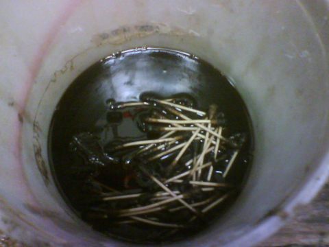 1993 Ford Bronco - A bucket filled with dark liquid and many toothpicks is visible.