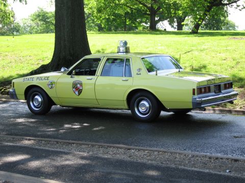 1991 Ford LTD Crown Victoria - pale yellow-green STATE POLICE sedan with roof lights and a door emblem parked beside a grassy park lawn.