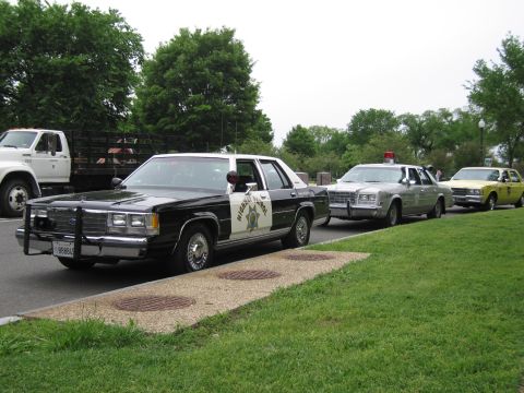 1991 Ford LTD Crown Victoria - black-and-white highway patrol sedan with push bumper leads a line of older police cars on a park road.