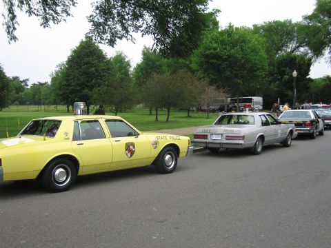 1991 Ford LTD Crown Victoria - yellow STATE POLICE sedan parked at the head of a line of cruisers along a park road under tall trees.