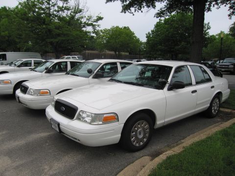 1991 Ford LTD Crown Victoria - Two white Ford Crown Victoria sedans sit at an angle on a grassy lot, with more white vehicles and a van parked behind them.