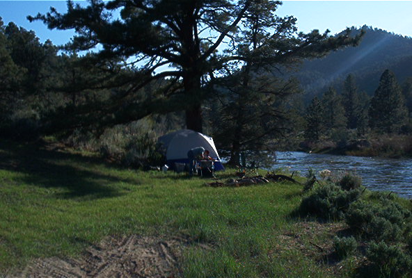 Tent set up near a river under a large tree, with mountains in the background