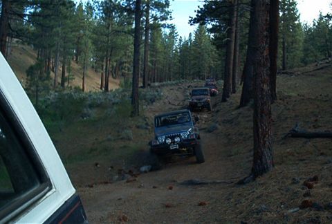 1986 Ford Bronco - Multiple Jeeps navigate a wooded trail, kicking up dust on the path ahead.