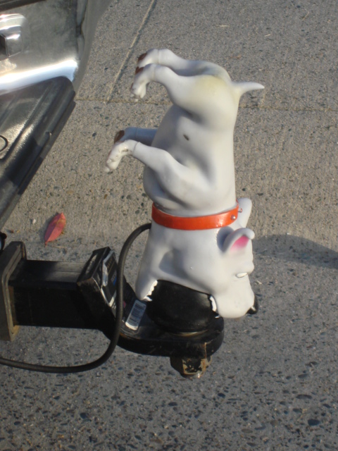 1983 Ford Bronco - here is a second view. it just snaps over the ball and plugs into the 4 wire plug.