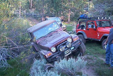 1986 Ford Bronco - This was a special treat. Randy was enjoying the Nevada scenery so much that he ran off the road! He made up for alot by a great self recov…