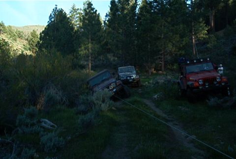 1986 Ford Bronco - Three Jeep Wranglers navigate a wooded trail, with one vehicle appearing to be stuck and towed by another.