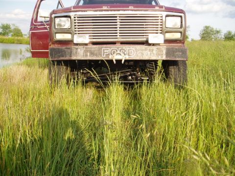 1980 Ford Bronco photo