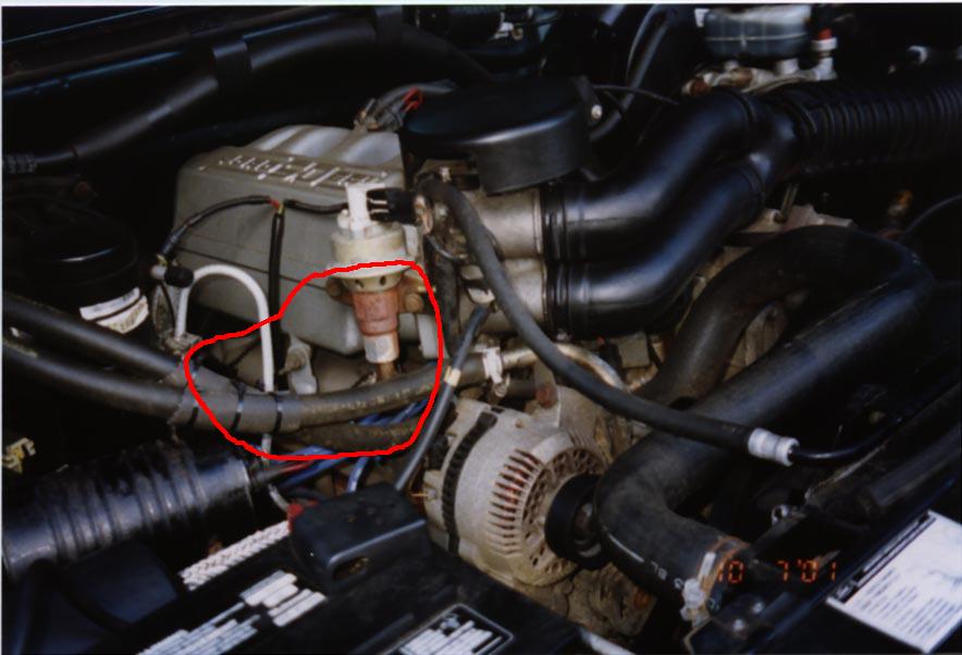Engine bay with red circle around distributor cap and wires. Alternator visible