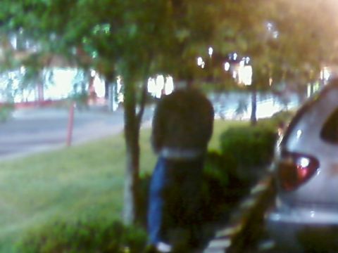 1985 Ford LTD Crown Victoria - Out-of-focus night photo of a person beside a car, not a technical document.