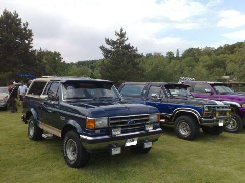 1991 Ford Crown Victoria