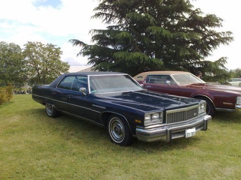 1991 Ford Crown Victoria - Two large American sedans from the late 1970s are parked on a grassy field.