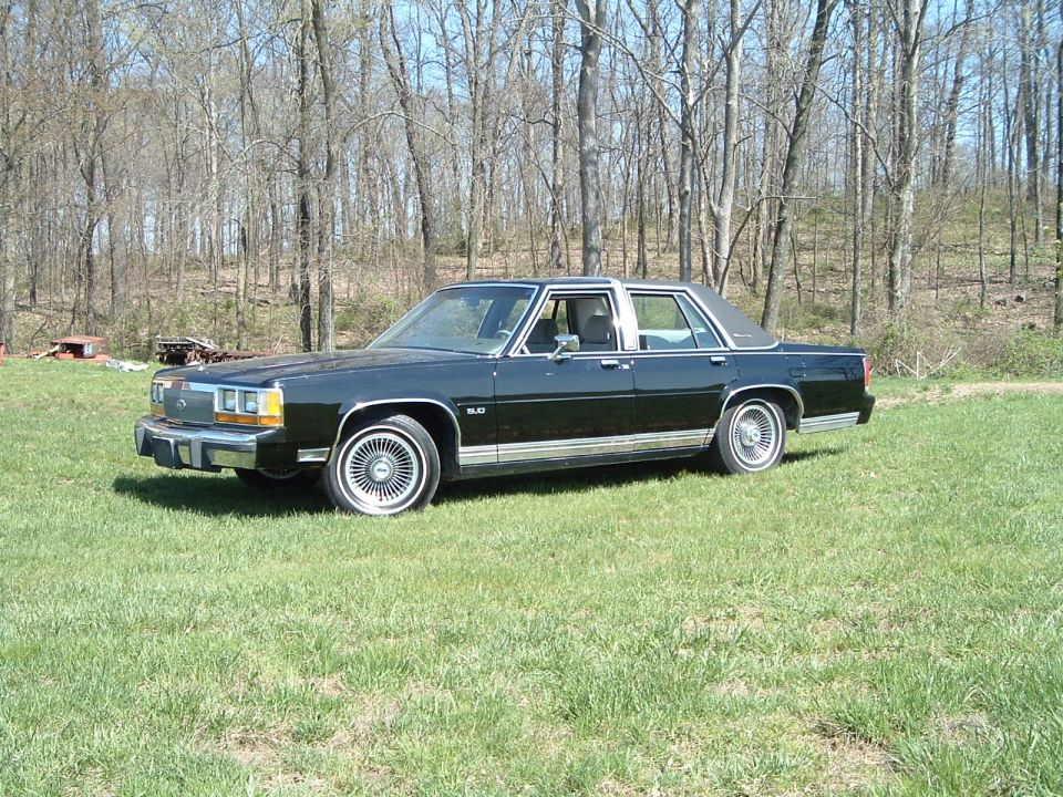 Black Ford LTD Crown Victoria sedan side profile parked on grass by bare woods