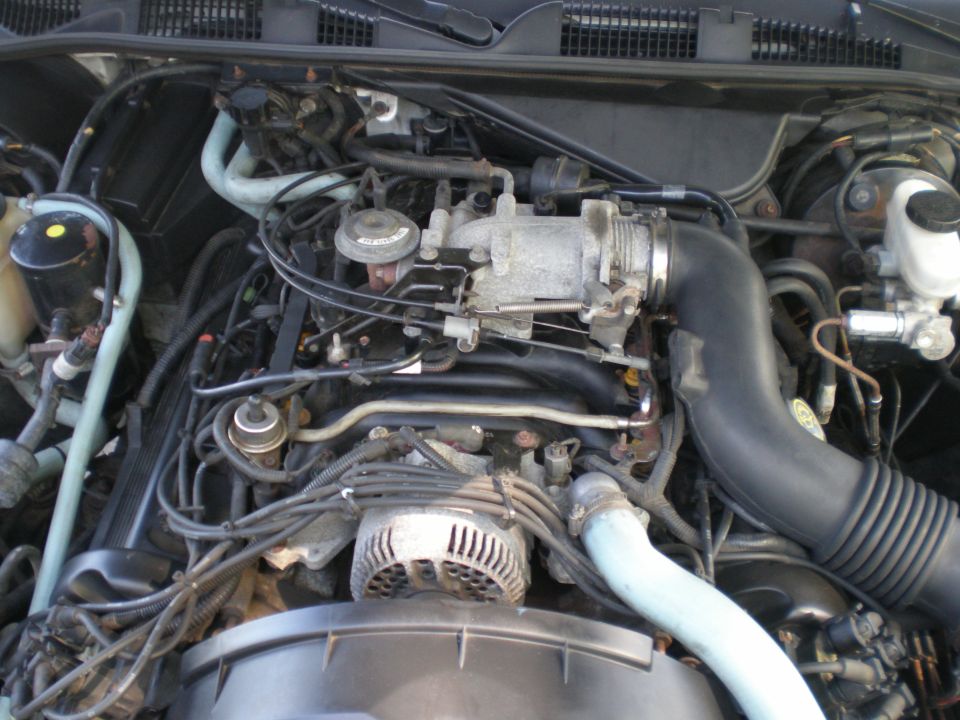 1996 Ford Crown Victoria engine bay with V8 engine components visible