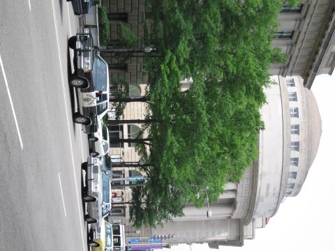 1991 Ford LTD Crown Victoria - sideways-rotated street scene showing a row of parked police cars along a curb beside leafy trees and a stone building.