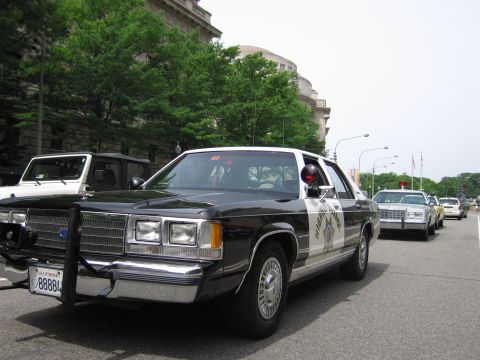 1991 Ford LTD Crown Victoria - black-and-white Ford highway patrol sedan with push bar and gold star door emblem is parked on a street, more cruisers lined up behind it.