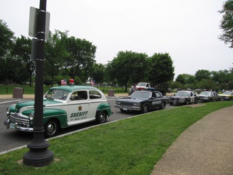 1991 Ford LTD Crown Victoria - vintage green-and-white SHERIFF St Johns County sedan leads a curving line of police cars beside a grassy park with flags.