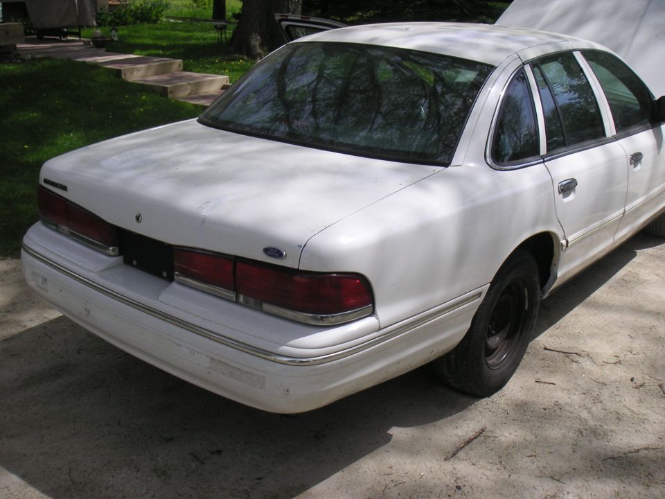 White Ford Crown Victoria rear three-quarter with no license plate and black steel wheels