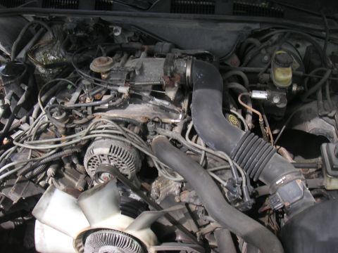 1997 Ford Crown Victoria - Close-up of a Ford V8 engine bay, likely from a 1997 Crown Victoria, with various components visible.