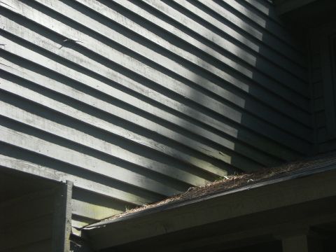 1992 Ford F-150 - Building exterior with siding and a gutter filled with pine needles and leaves.