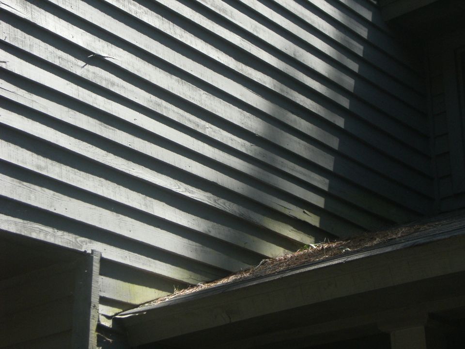 Exterior of a building showing horizontal siding and a gutter filled with debris
