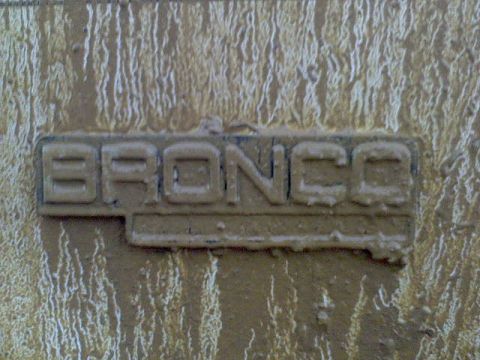 1996 Ford Bronco - coolest picture ever, good avatar too