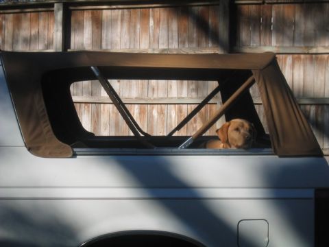 1996 Ford Bronco - Side view of a white SUV's rear quarter with the hardtop removed and the rear window glass down, showing the exposed roll-bar-style rear ca…