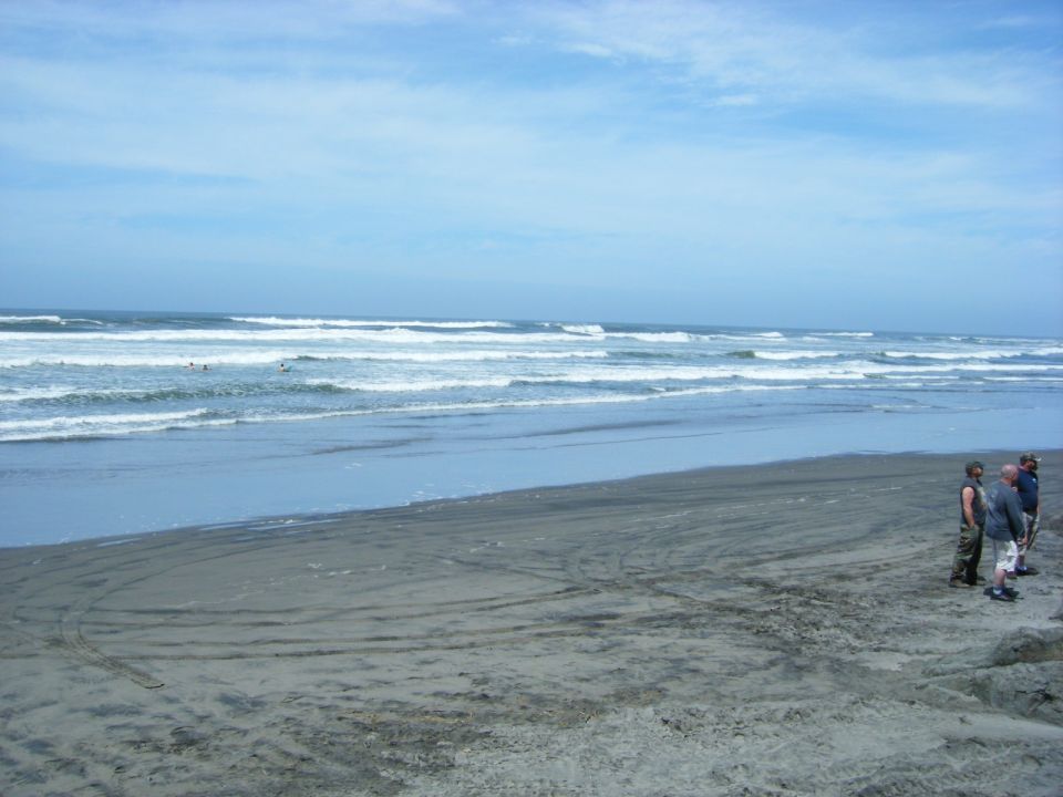 Beach scene with waves and people on the sand.
