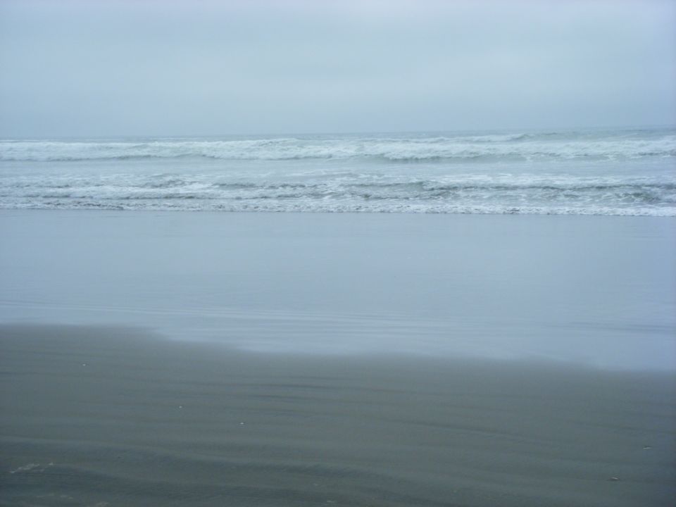 Beach with waves and wet sand under an overcast sky.