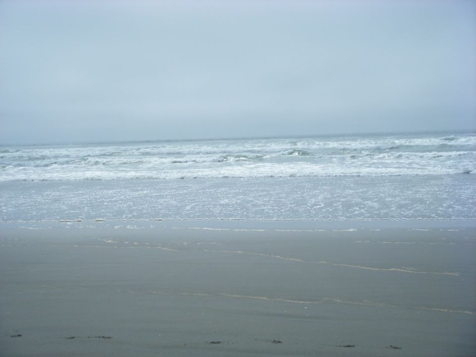 Beach scene with waves and sand under an overcast sky.