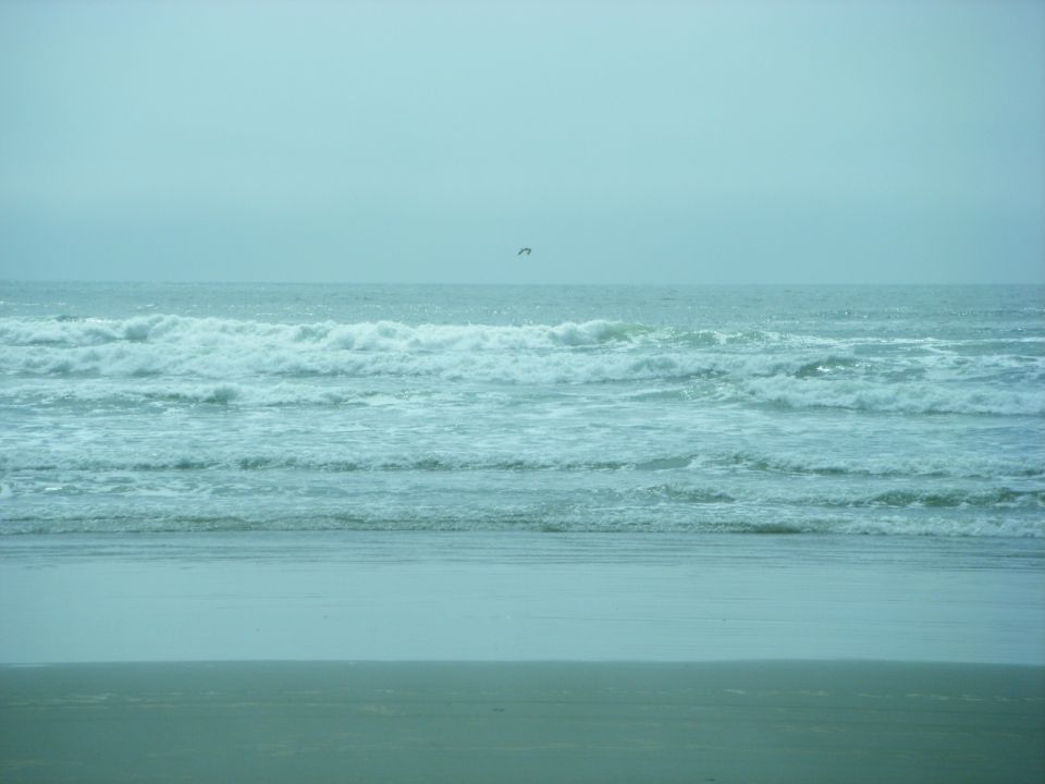 Ocean waves and beach under a hazy sky with a bird in the distance.