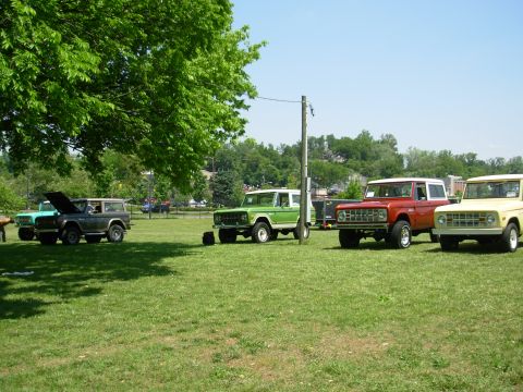 1983 Ford Bronco - Several Ford Broncos are parked on a grassy field under a clear blue sky, with a large tree providing shade.