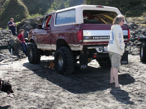 1978 Ford Bronco - A modified Ford Bronco sits on a beach with people and dogs around it.