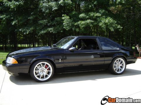 2003 Ford Mustang - I don't know who's this Is..but Its friggin Sweet!!