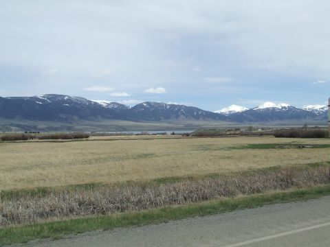 1979 Ford Bronco - A vast field stretches towards snow-capped mountains under a cloudy sky.