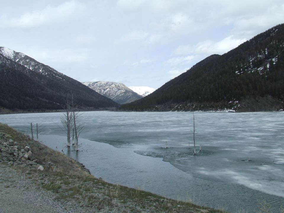 Frozen lake with snow-capped mountains and bare trees in the water