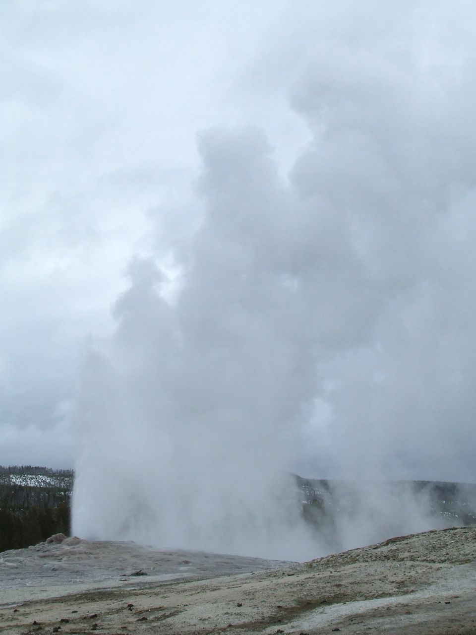 Geyser erupting in a column of steam over a pale geothermal basin