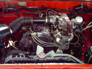 1901 Honda Odyssey photo