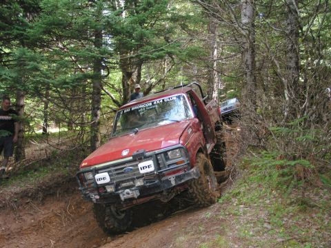 1995 Jeep Wrangler “the gutless wonder”